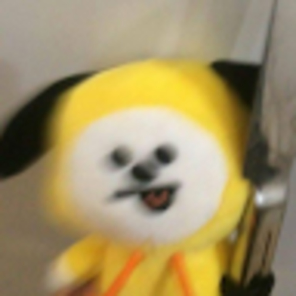 Meet your Posher, Meghna